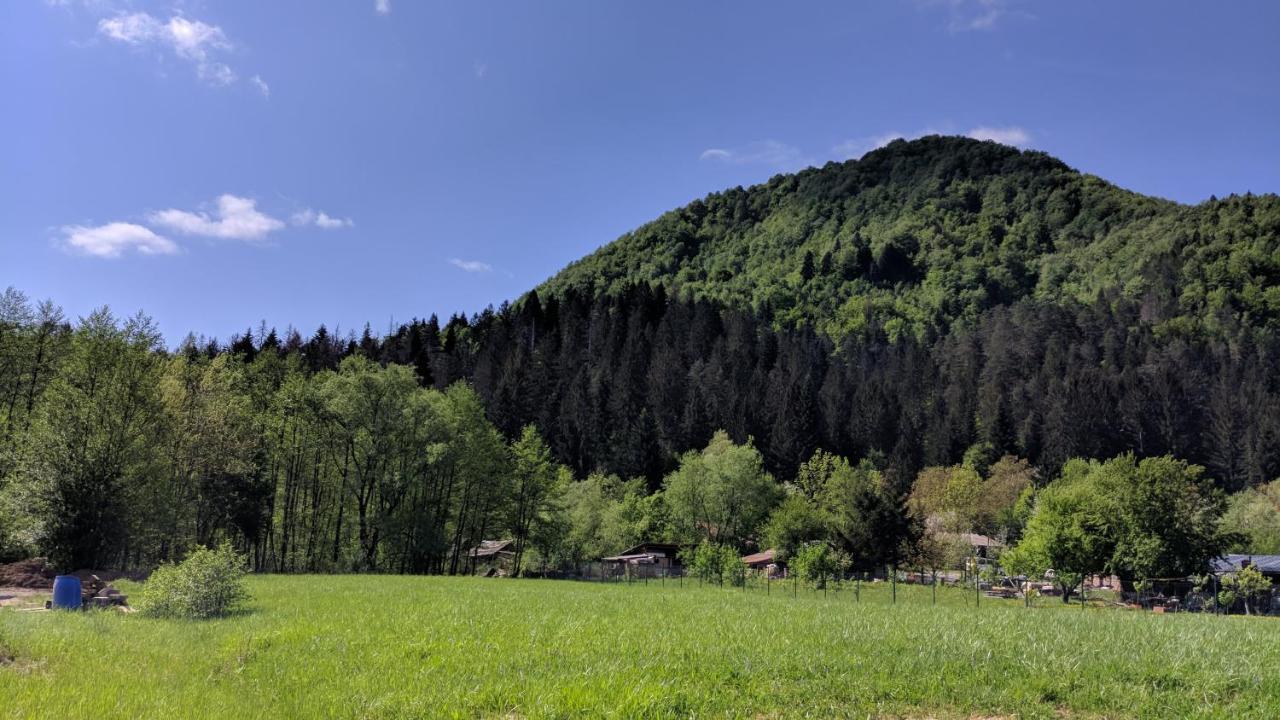 Vila Viktorija Brod na Kupi Exterior photo